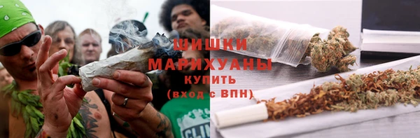 мдпв Лагань