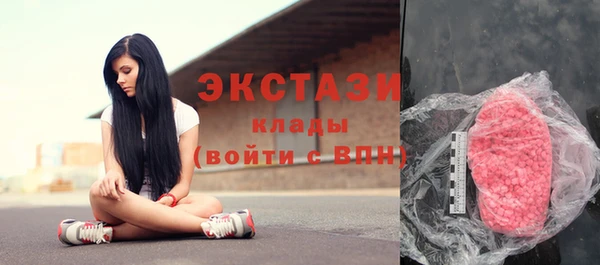 ECSTASY Ладушкин