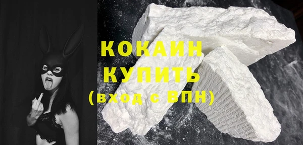 прущие грибы Краснотурьинск
