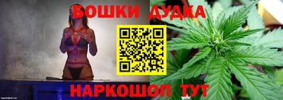 гашик Дубна