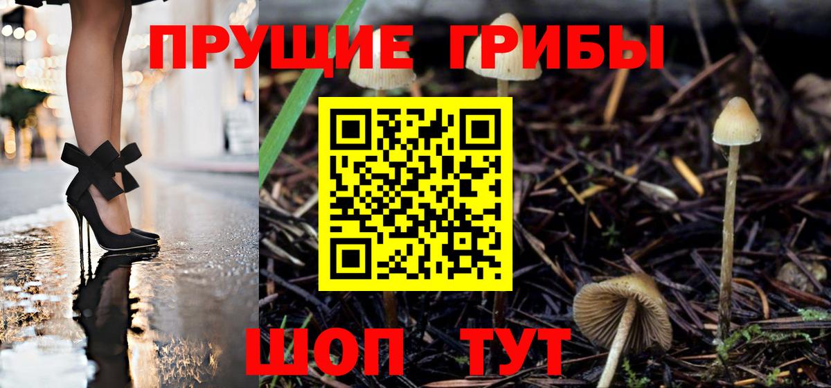 Черняховск  Галлюциногенные грибы Psilocybine cubensis  Вход с VPN  Псилоцибиновые грибы мухоморы 